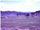 Kilcoy QLD 4515