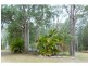 Cooroibah QLD 4565