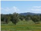 Cooroibah QLD 4565
