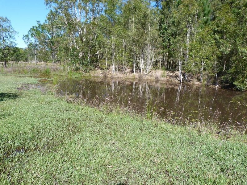 Cooroibah QLD 4565