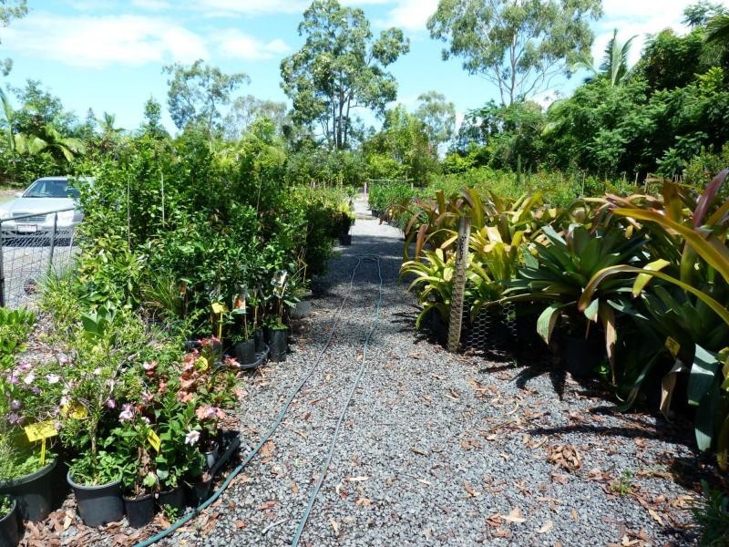 Cooroibah QLD 4565