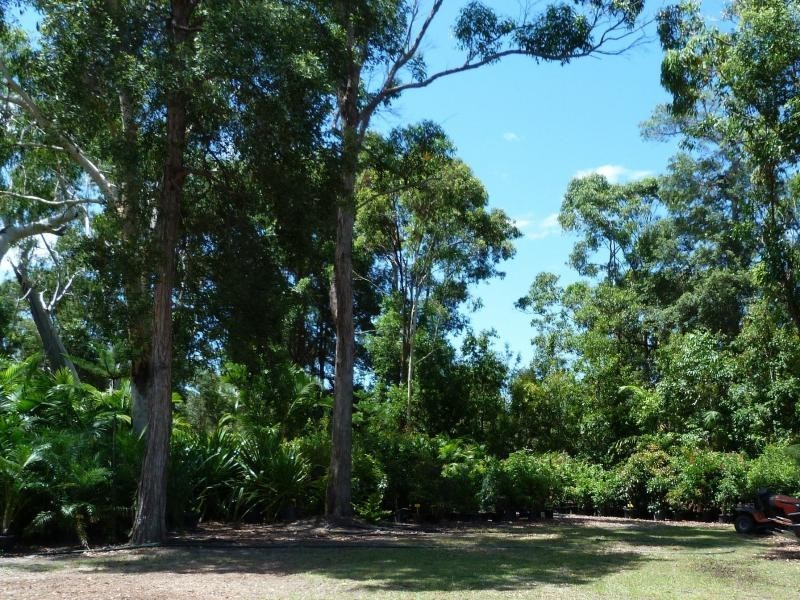 Cooroibah QLD 4565