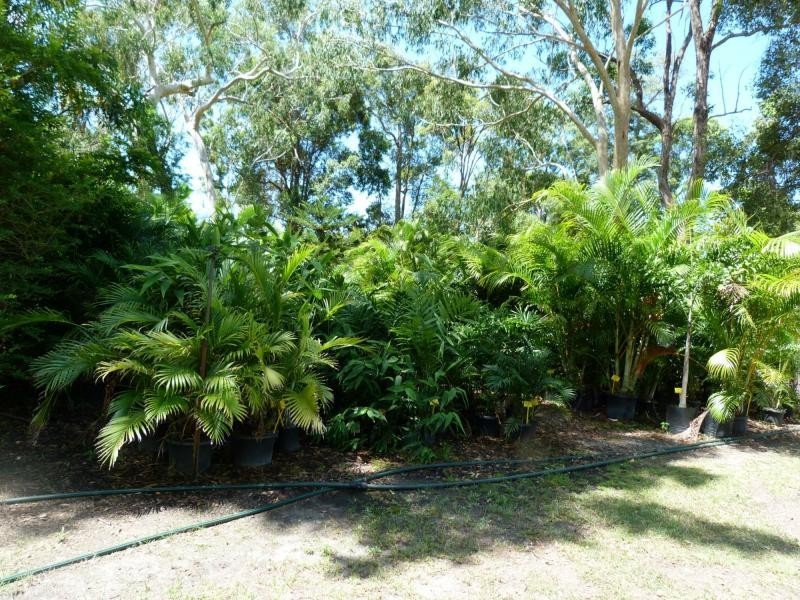 Cooroibah QLD 4565