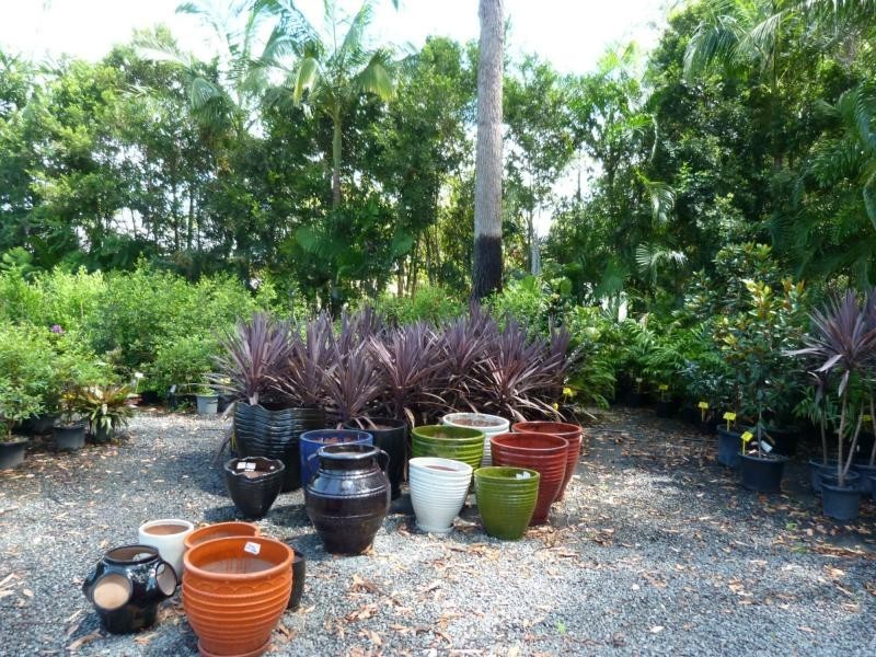 Cooroibah QLD 4565