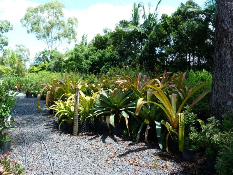 Cooroibah QLD 4565