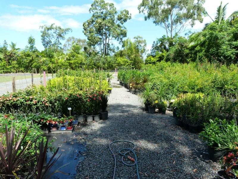 Cooroibah QLD 4565