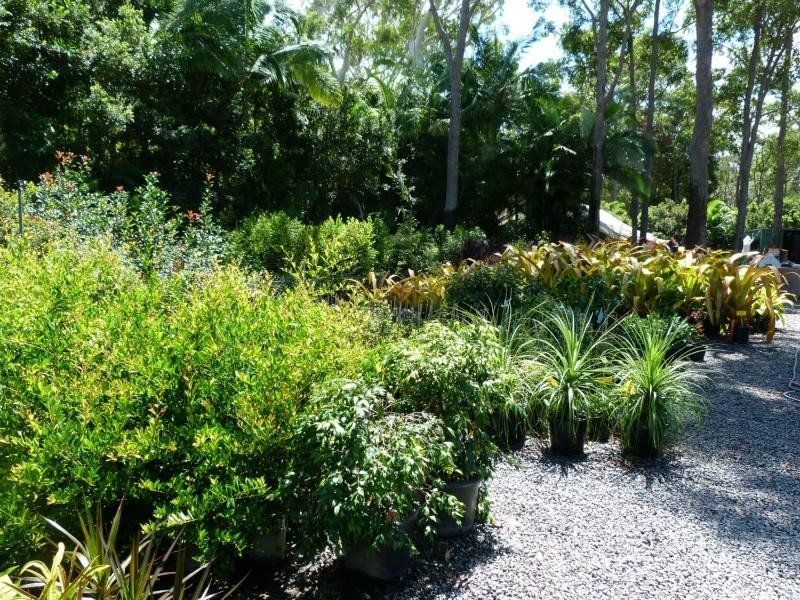 Cooroibah QLD 4565