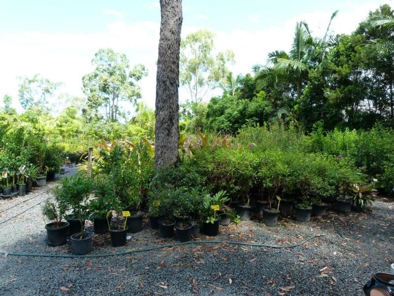Cooroibah QLD 4565