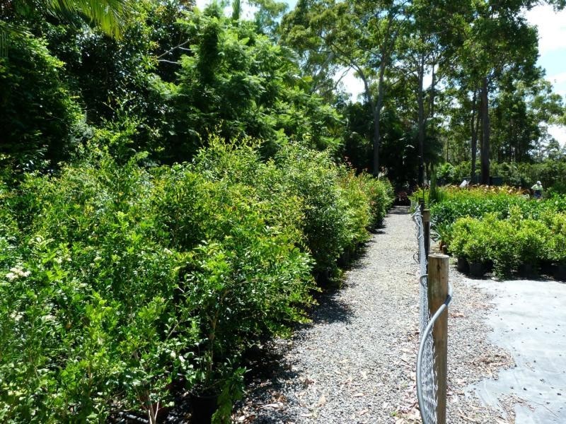 Cooroibah QLD 4565