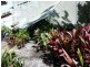 Cooroibah QLD 4565