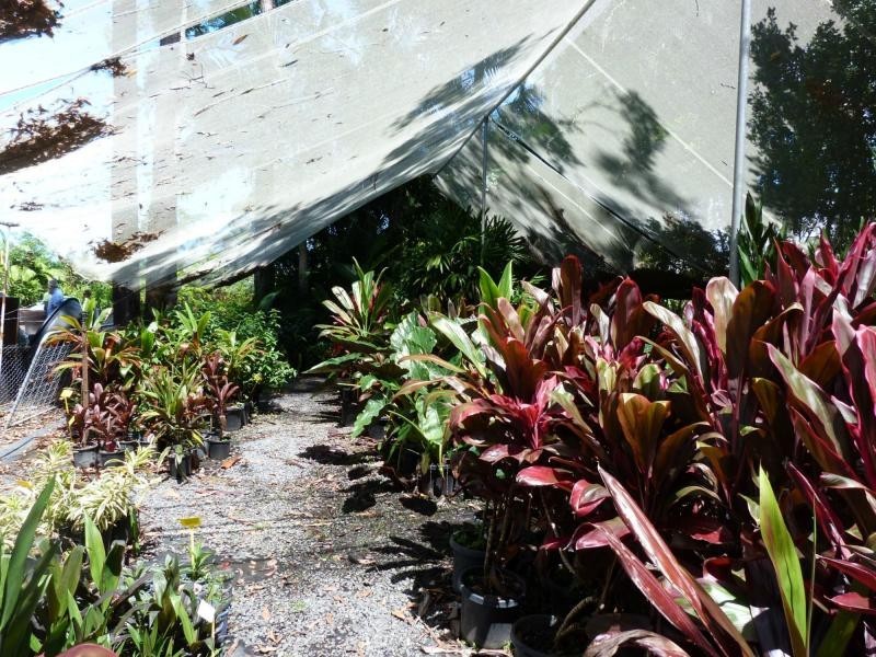 Cooroibah QLD 4565