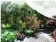 Cooroibah QLD 4565