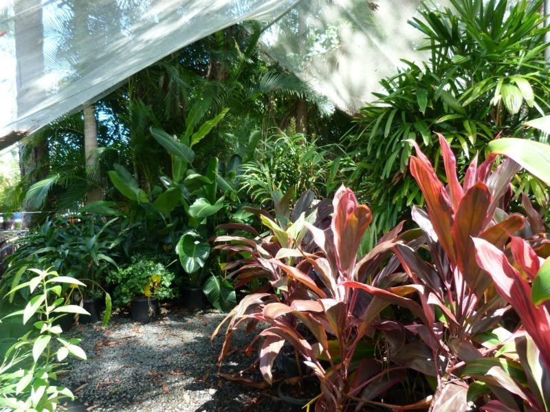 Cooroibah QLD 4565