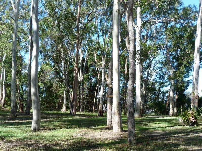 29 Morning Glory, Cooroibah QLD 4565