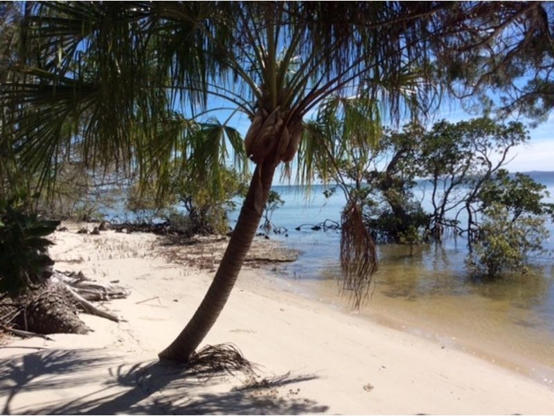 Tinnanbar QLD 4650