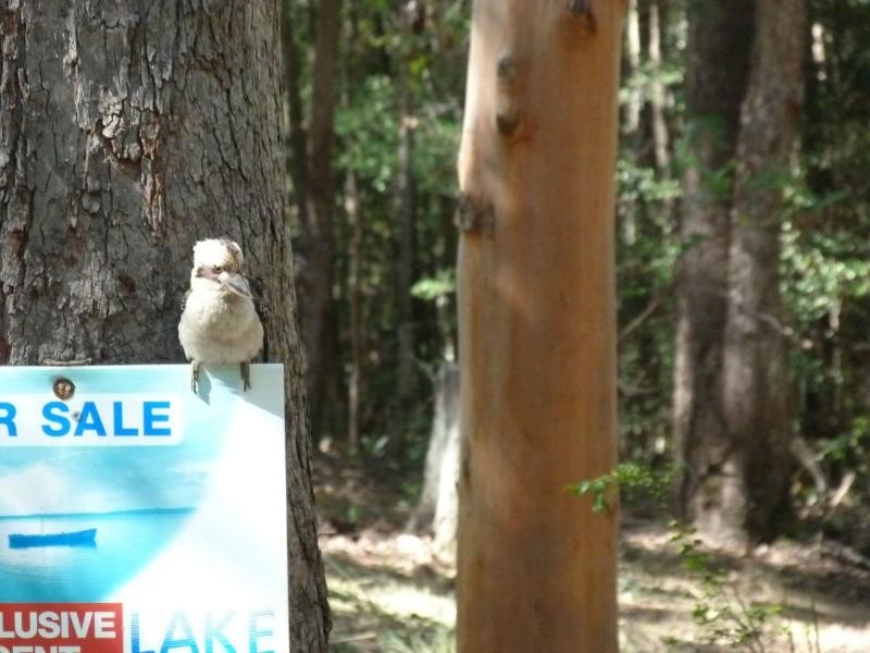 26 Little Springs Lane, Lake Macdonald QLD 4563