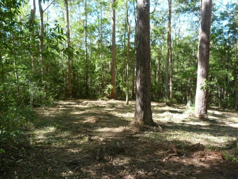 26 Little Springs Lane, Lake Macdonald QLD 4563