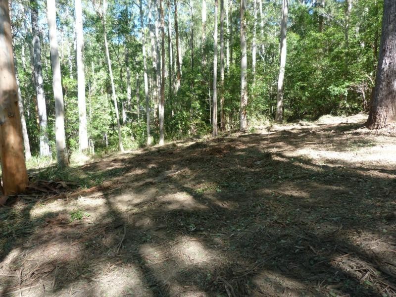 26 Little Springs Lane, Lake Macdonald QLD 4563