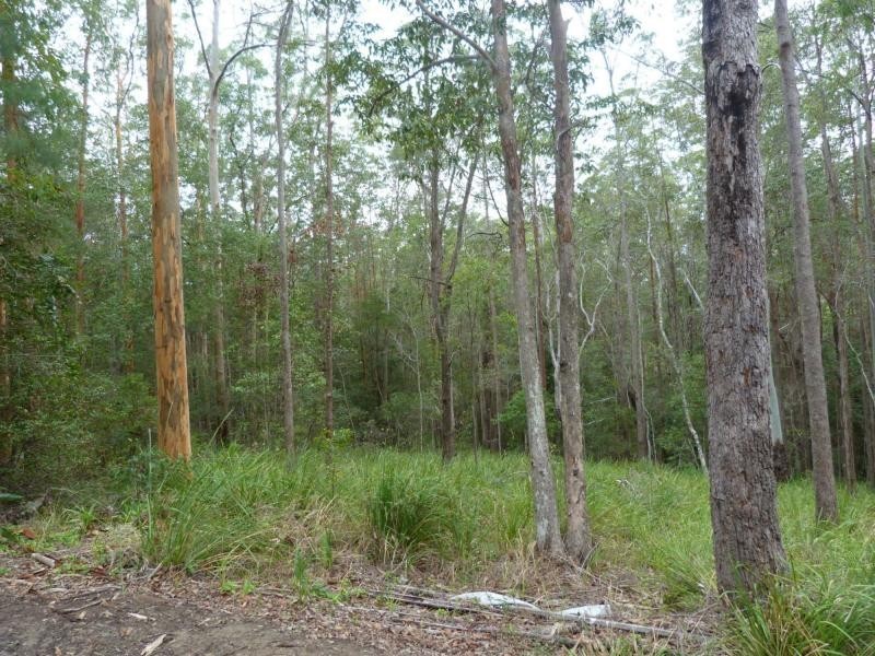 26 Little Springs Lane, Lake Macdonald QLD 4563