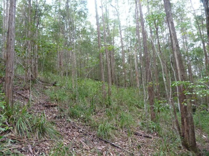 26 Little Springs Lane, Lake Macdonald QLD 4563