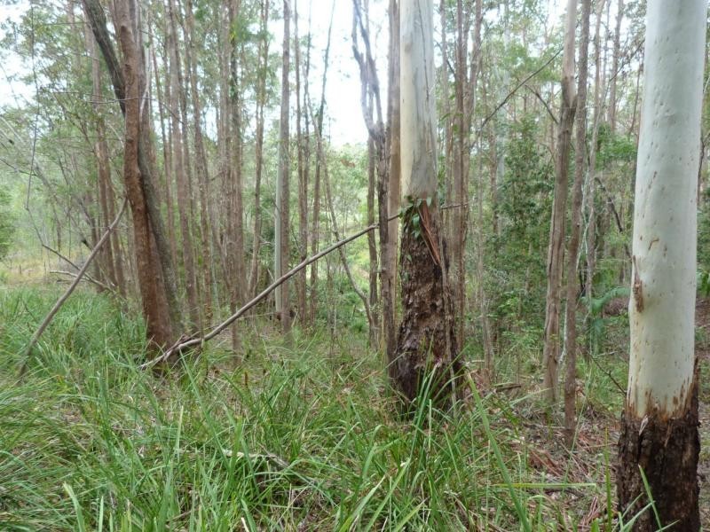 26 Little Springs Lane, Lake Macdonald QLD 4563