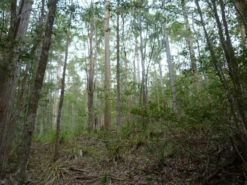 26 Little Springs Lane, Lake Macdonald QLD 4563