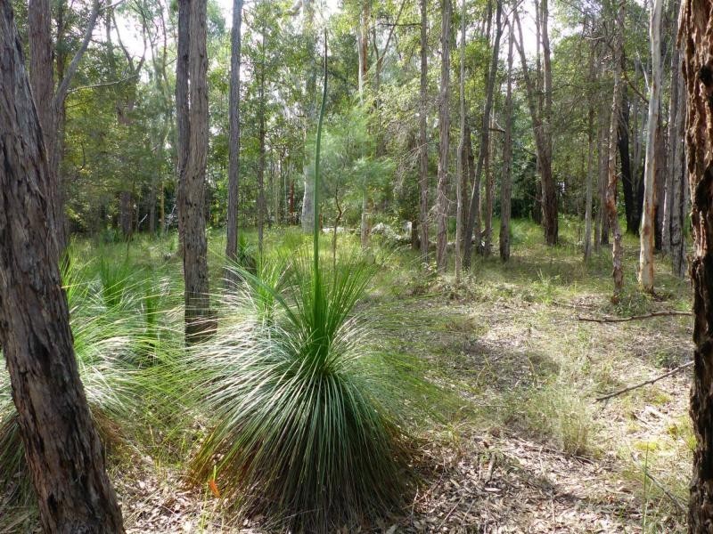164 Carriage Way, Cooroibah QLD 4565