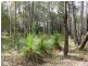 164 Carriage Way, Cooroibah QLD 4565
