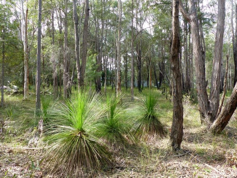 164 Carriage Way, Cooroibah QLD 4565