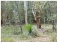164 Carriage Way, Cooroibah QLD 4565