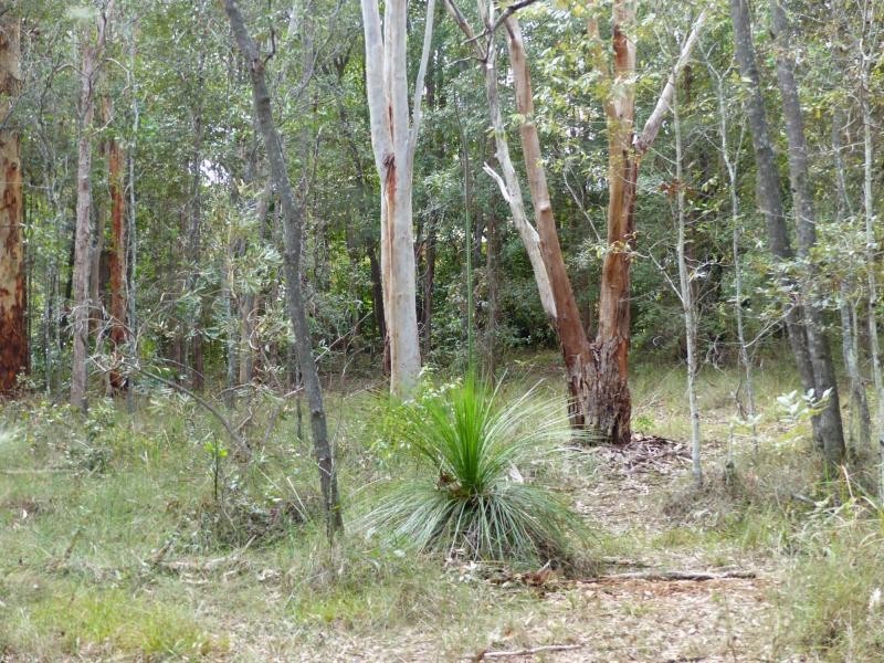 164 Carriage Way, Cooroibah QLD 4565