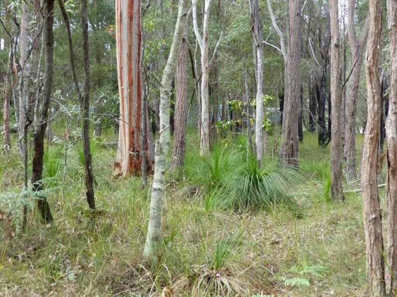 164 Carriage Way, Cooroibah QLD 4565
