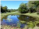Cooroy QLD 4563