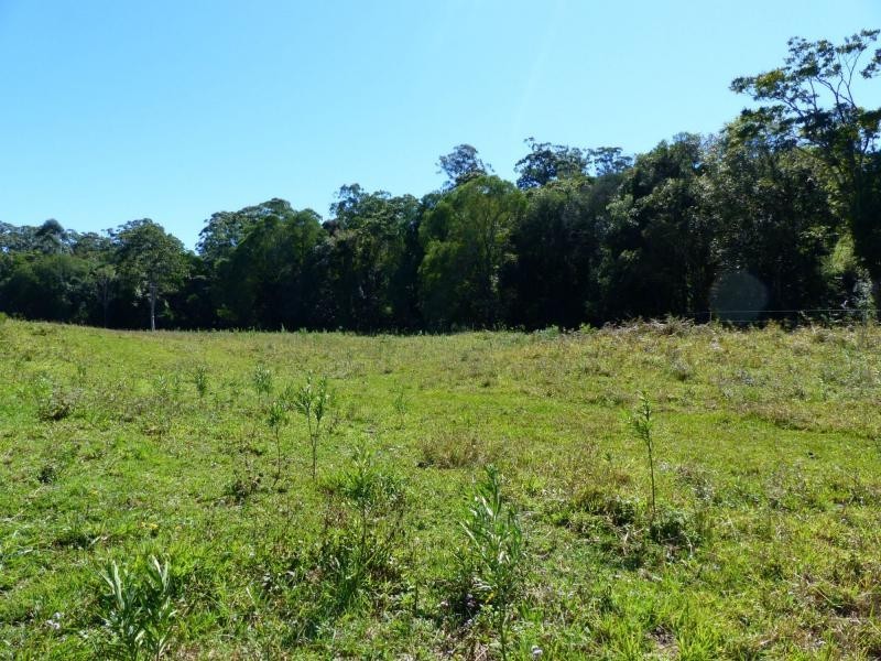 Cooroy QLD 4563