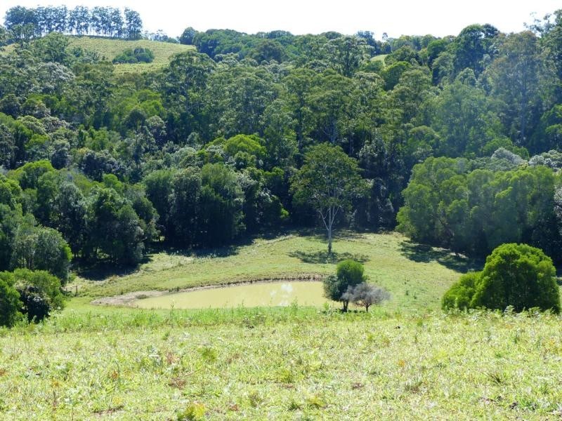 Cooroy QLD 4563