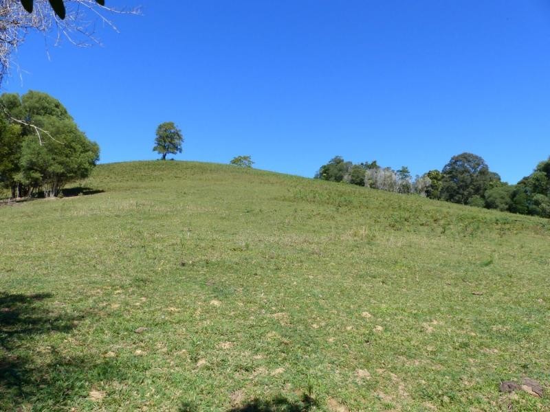Cooroy QLD 4563