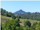 Cooroy QLD 4563