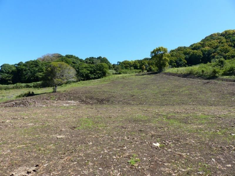 Cooroy QLD 4563