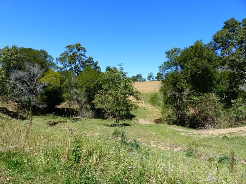 Cooroy QLD 4563