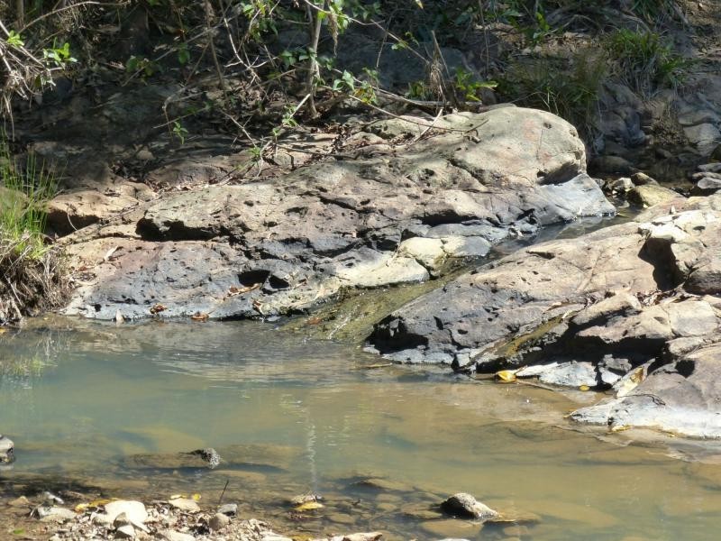 Cooroy QLD 4563