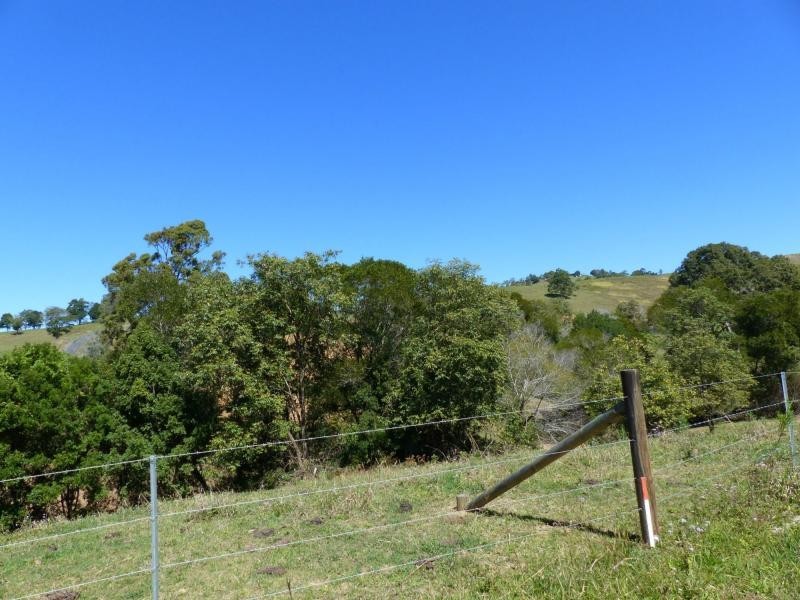 Cooroy QLD 4563