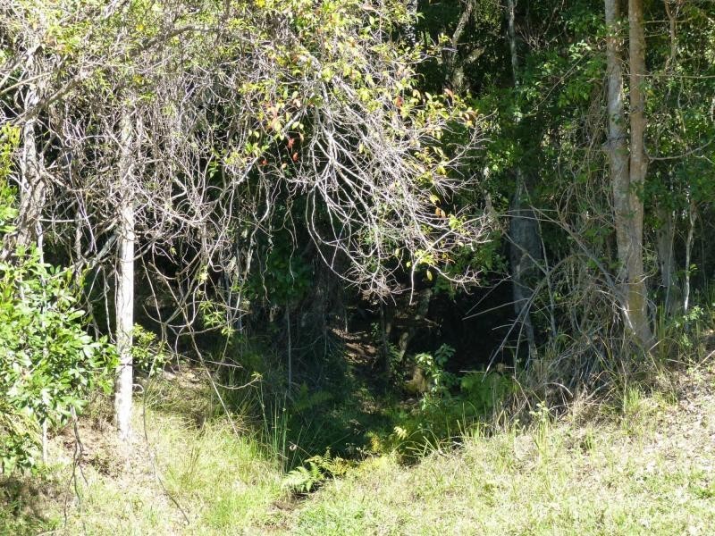 Cooroy QLD 4563