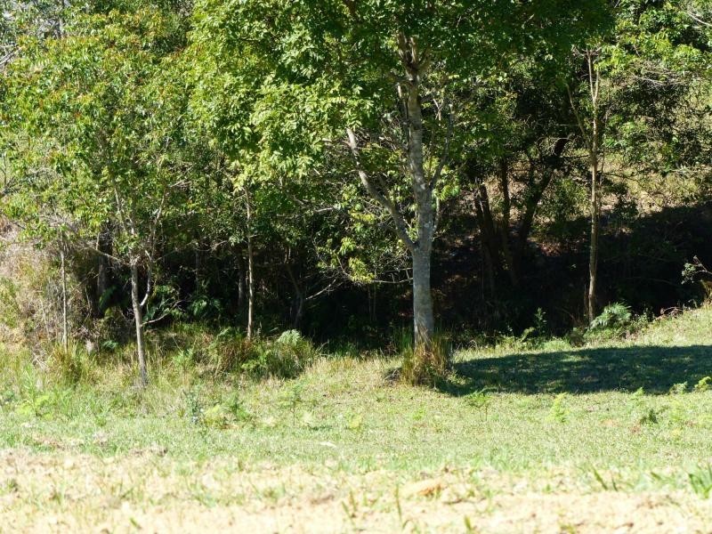 Cooroy QLD 4563