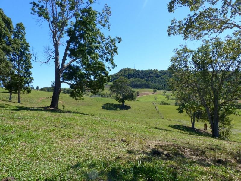 Cooroy QLD 4563