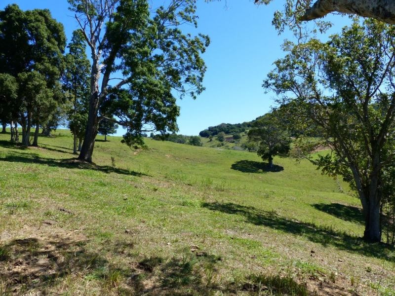 Cooroy QLD 4563