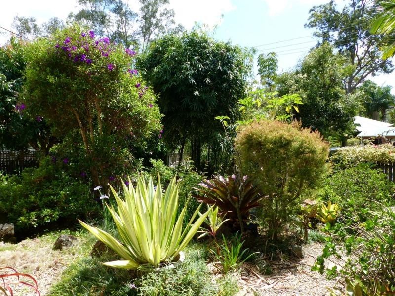 14 Pines, Cooroibah QLD 4565