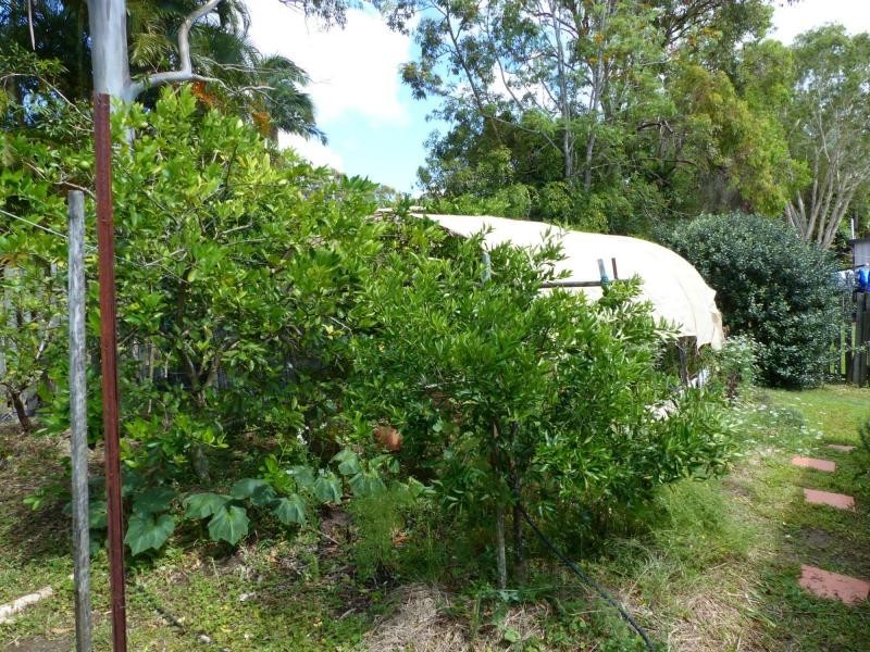 14 Pines, Cooroibah QLD 4565