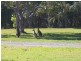 13 Honey Gem , Coolah, Cooroibah QLD 4565