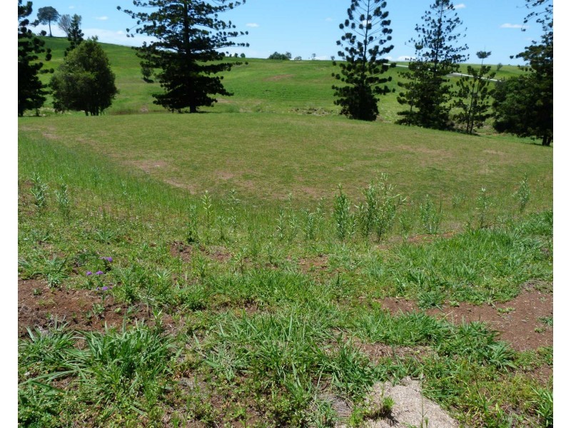 Lot 6 Billman Court, Chatsworth QLD 4570