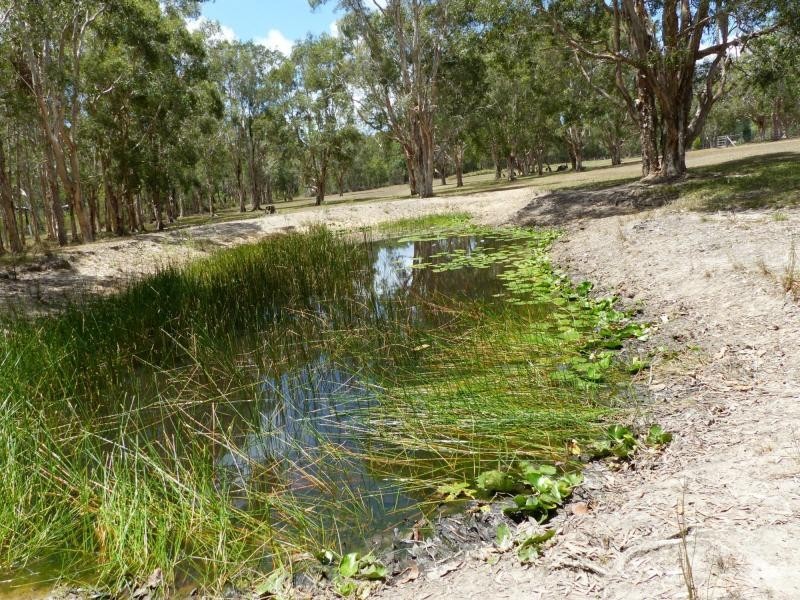 6A Amaroo Place, Cooroibah QLD 4565